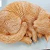 Sleeping Cat Concrete Memorial Statue