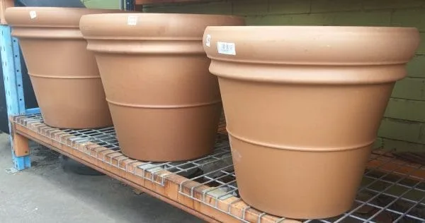Italian Terracotta Rolled Rim