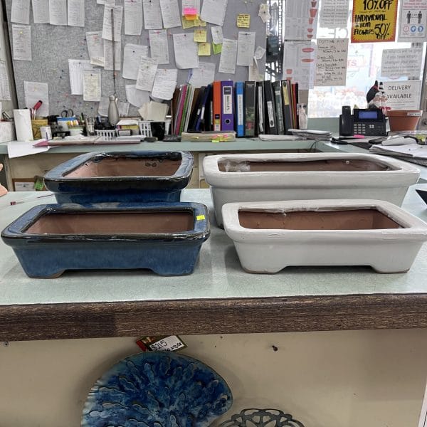 Rect Bonsai Glazed Pot - Image 3