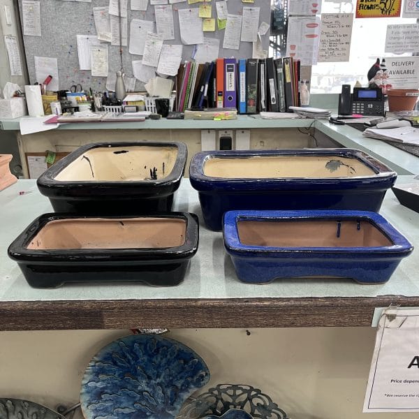 Rect Bonsai Glazed Pot
