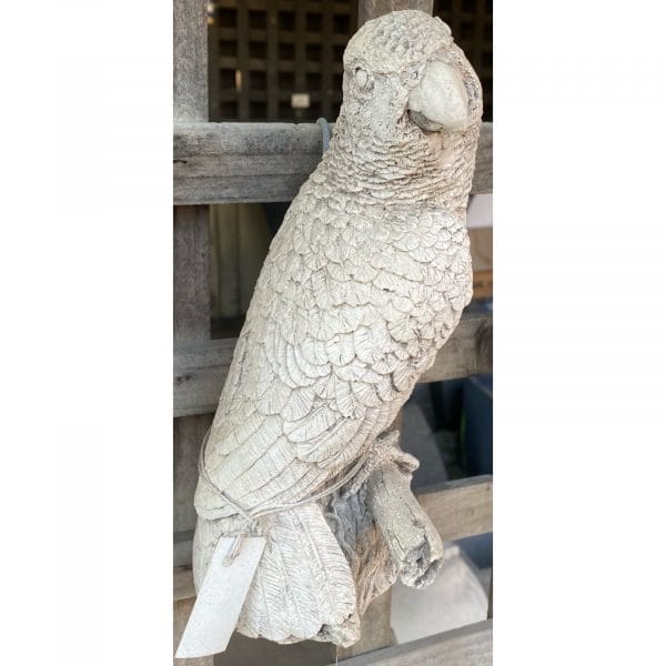 Parrot Concrete Wall Plaque