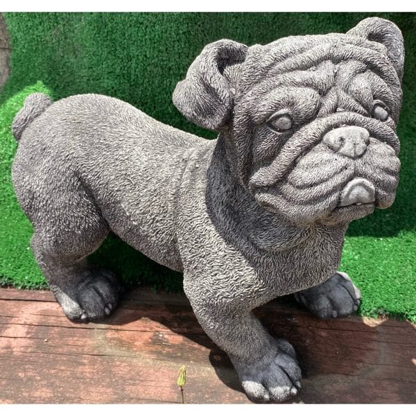 Standing Bulldog Concrete Statue 0908