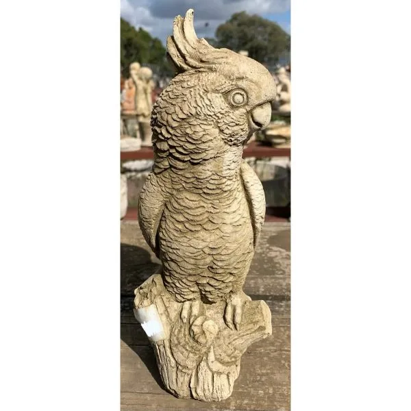 Cockatoo Concrete statue 9602