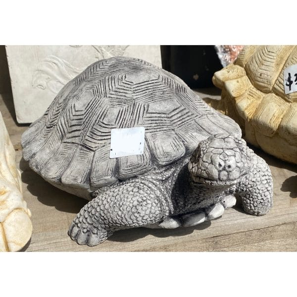 Turtle Medium Concrete Statue 0942