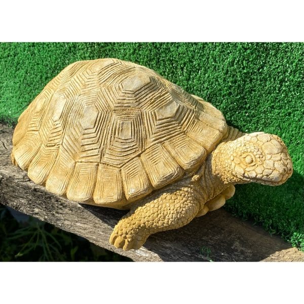 Turtle Medium Concrete Statue 0942 - Image 2