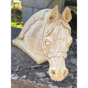 Riding Pony Bust Concrete Horse Statue 0125