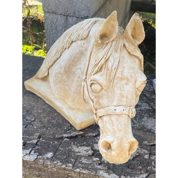Riding Pony Bust Concrete Horse Statue 0125