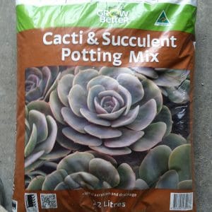 Cacti and Succulent Potting Mix 12L