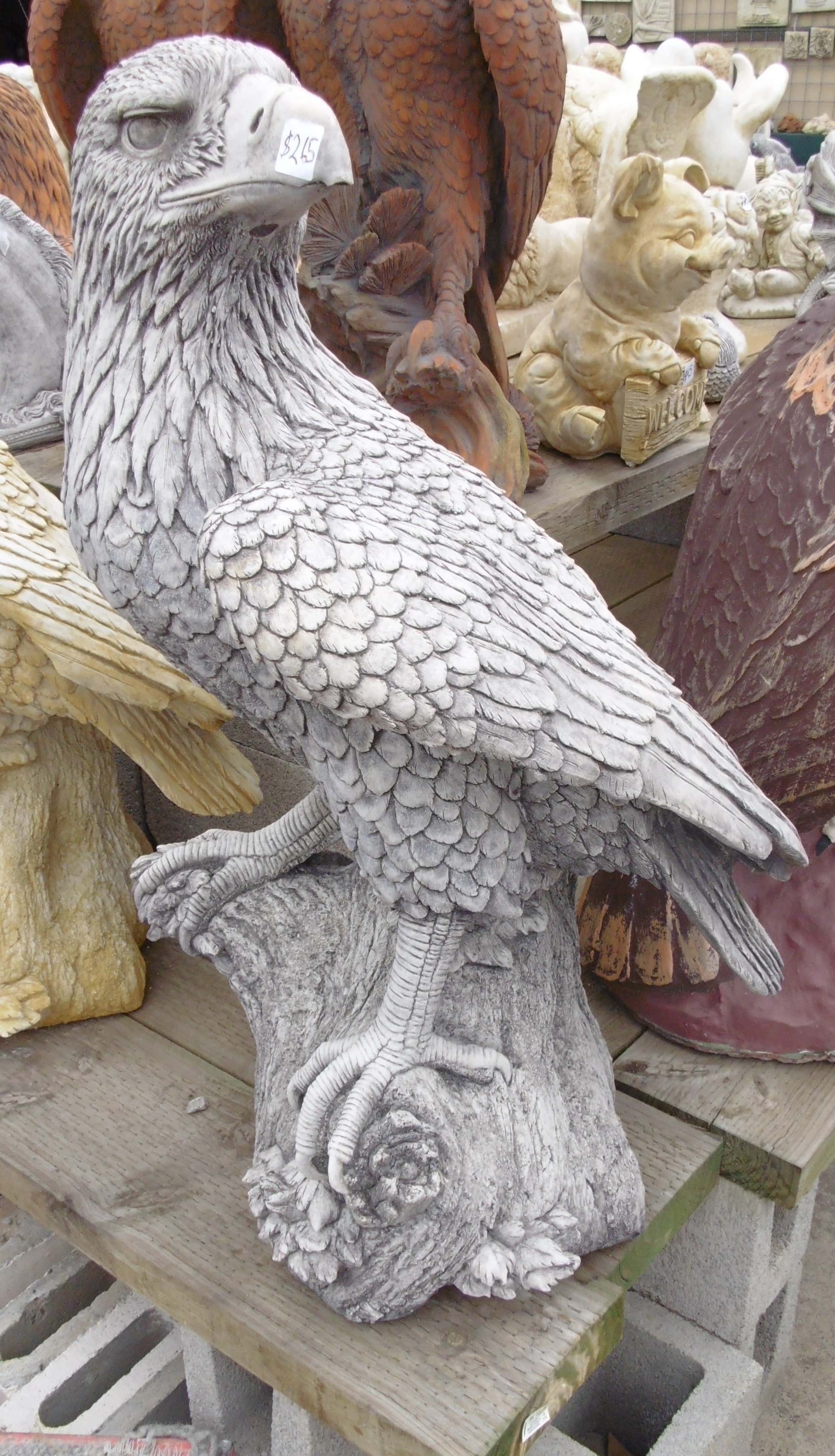 Eagle Large Concrete Statue (1021) | Wantirna Garden Ornaments and Pots