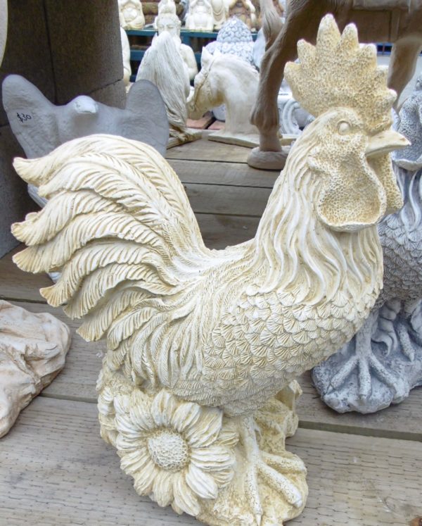 #3 - Concrete Rooster 5