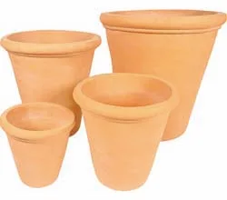 Citrus Terracotta Pot