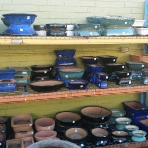 Bonsai Pots