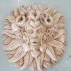 feature face