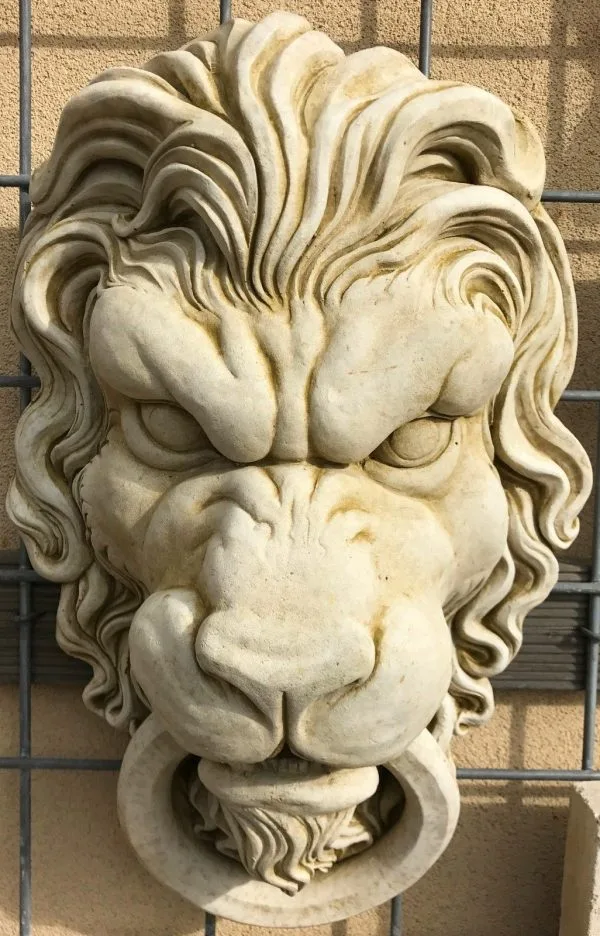 lion