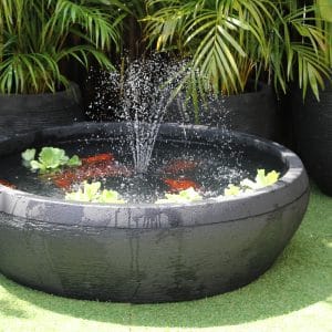 Fish Pond GRC