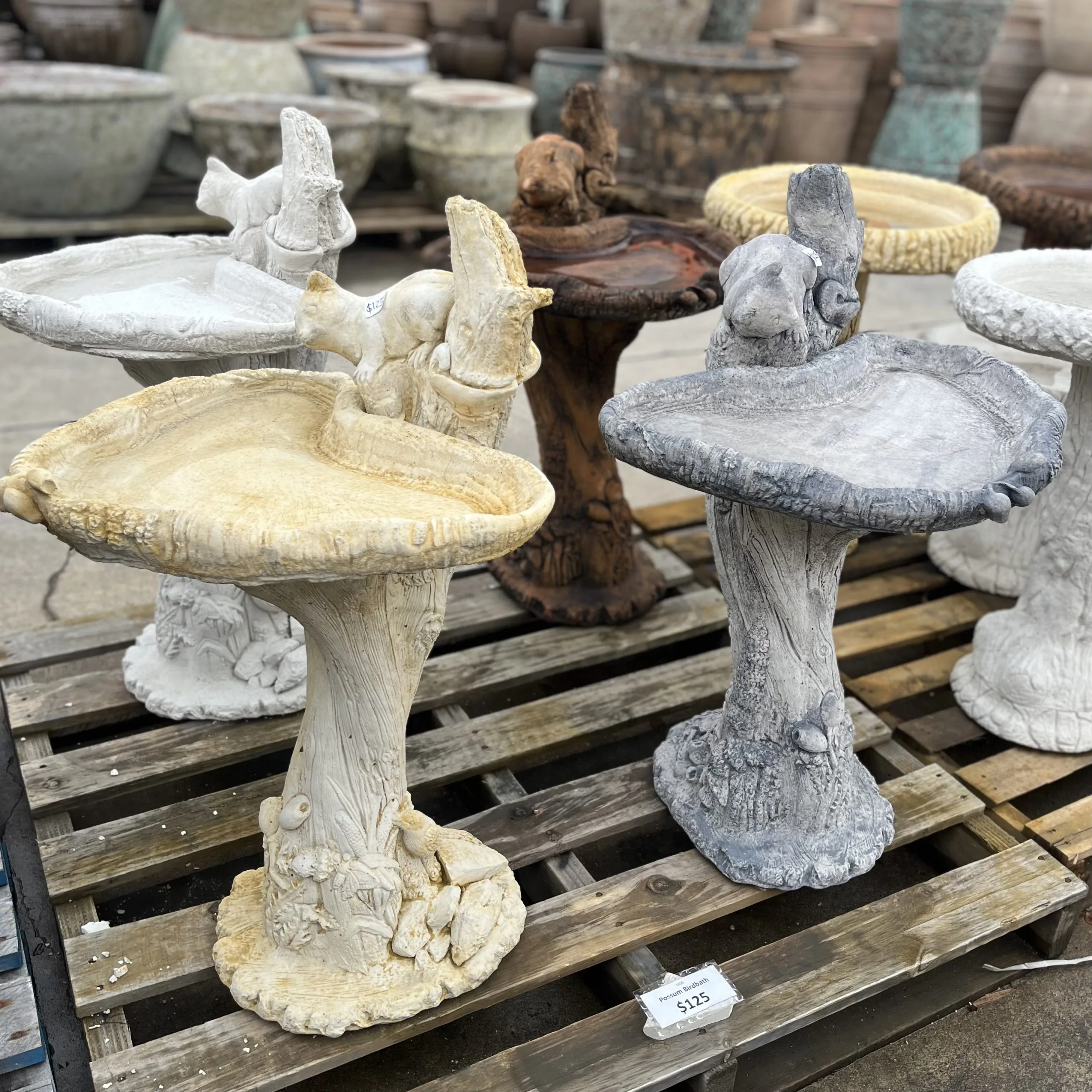 Possum Concrete Birdbath 1600