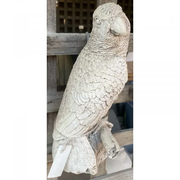Parrot Concrete Wall Plaque