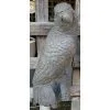 Parrot Concrete Wall Plaque