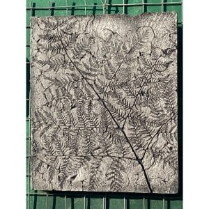 Fossil Small Fern Concrete Wall Plaque