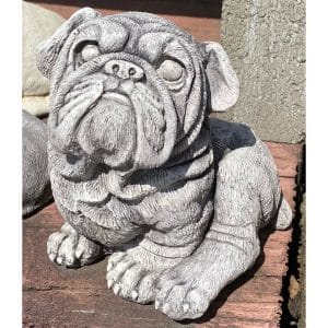 Bull Dog Concrete Statue 0010