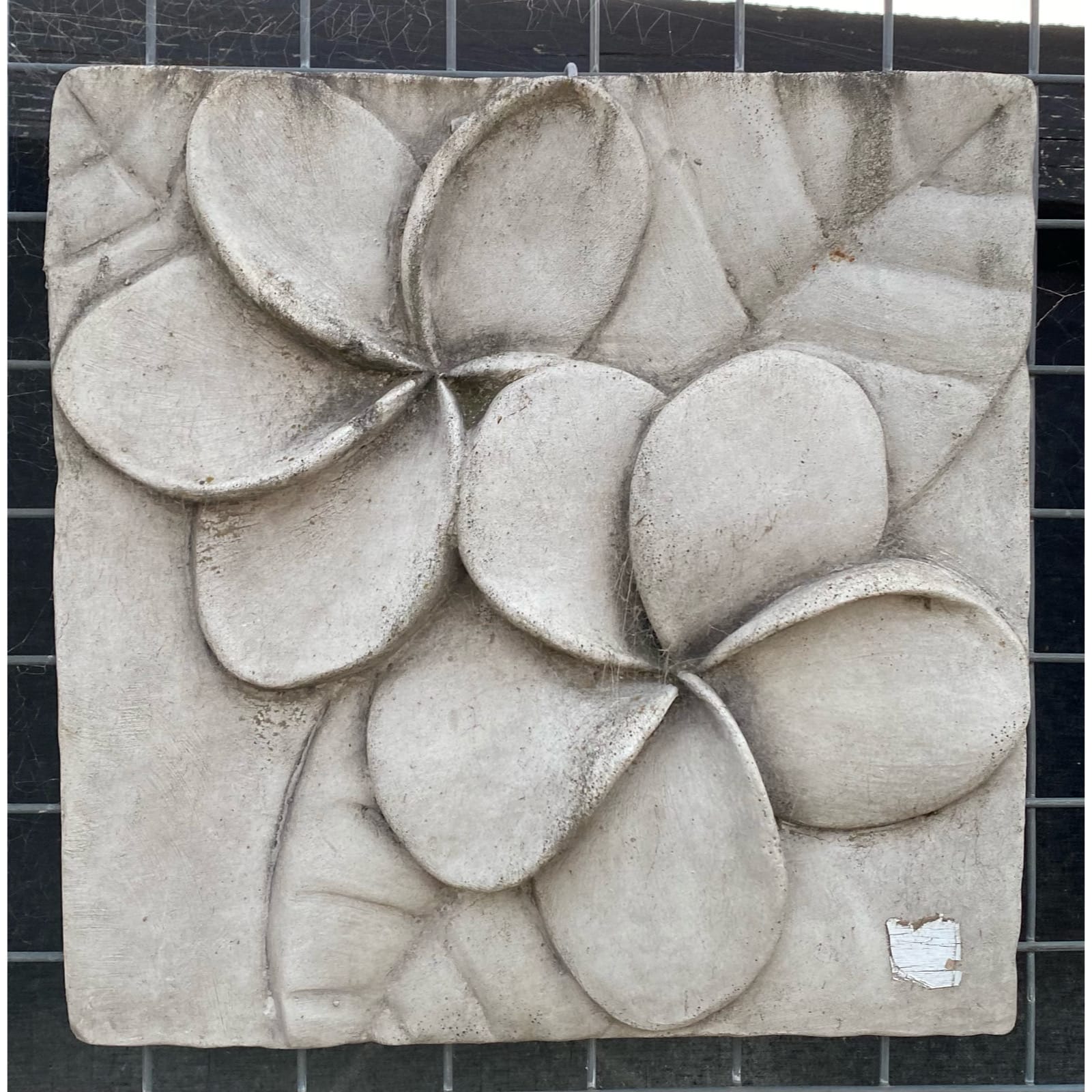Frangipani's Plaque Concrete Wall Plaque