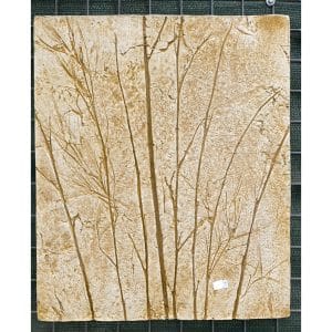 Fossil Bamboo Concrete Wall Plaque 0564