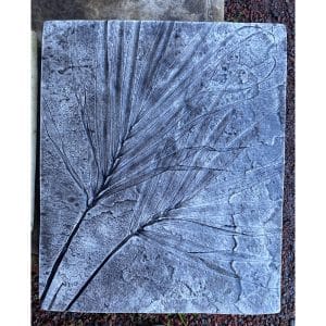Fossil Fern Concrete Wall Plaque 0560