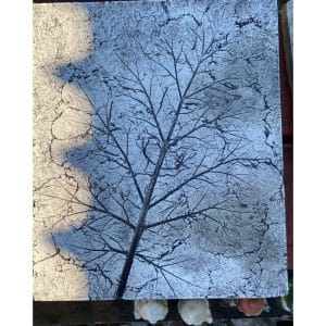 Fossil Oyster Plant Concrete Wall Plaque 0566