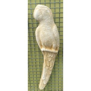 Macaw Parrot Concrete Wall Plaque