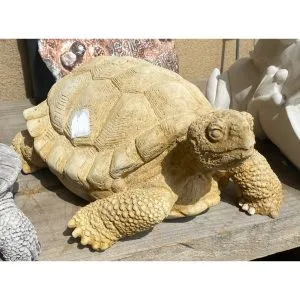Tortoise Medium Concrete Statue 0137