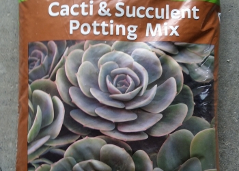 Cacti and Succulent Potting Mix 12L