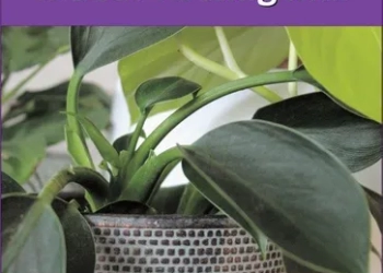 Grow Better 12lt Indoor Potting Mix