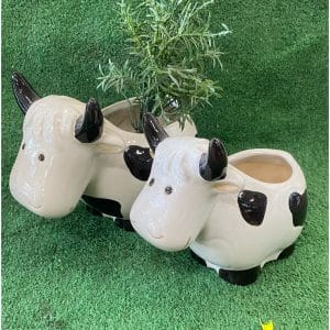 Glazed Cow Pot
