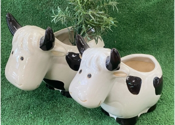 Glazed Cow Pot